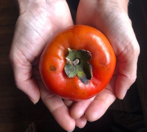 Persimmons:the art of eating persimmons